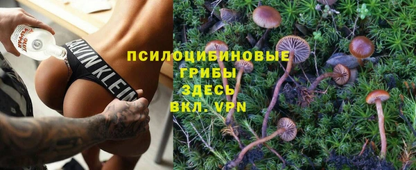 ALPHA PVP Алзамай