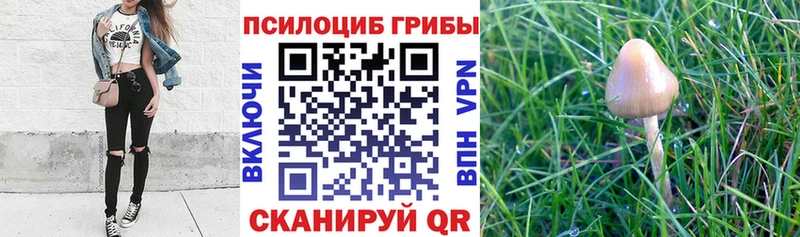 Галлюциногенные грибы прущие грибы  Нижние Серги 